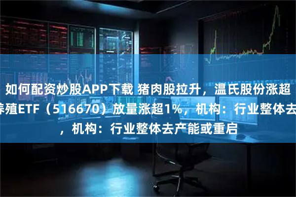如何配资炒股APP下载 猪肉股拉升,温氏股份涨超2%,畜牧养殖ETF(516670)放量涨超1%,机构:行业整体去产能或重启