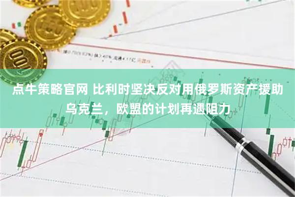 点牛策略官网 比利时坚决反对用俄罗斯资产援助乌克兰，欧盟的计划再遇阻力