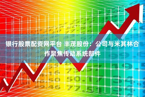 银行股票配资网平台 丰茂股份：公司与米其林合作聚焦传动系统部件
